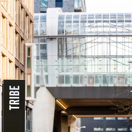 Tribe 암스테르담