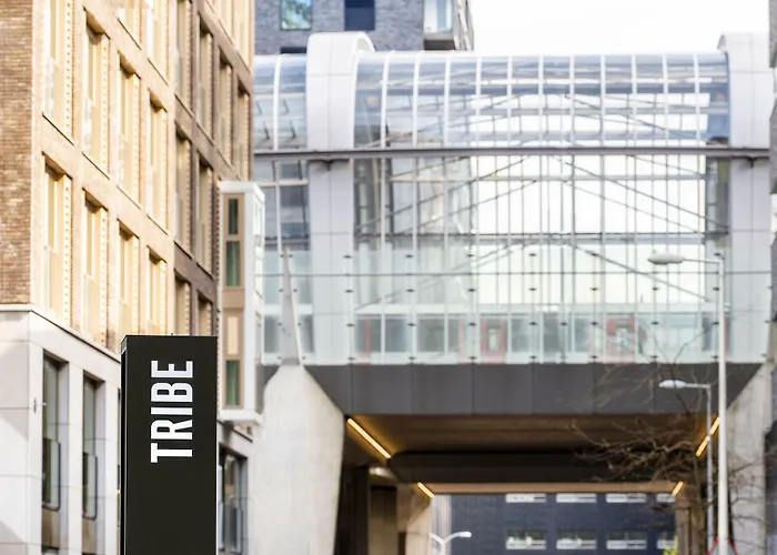 Tribe אמסטרדם