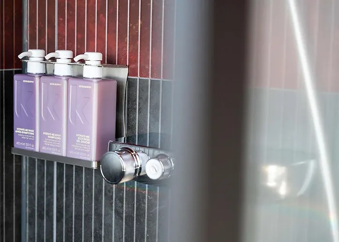 Tribe אמסטרדם